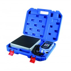 BE100P - Electronic programmable scale 2 - 5 g resolution -  Kg.100