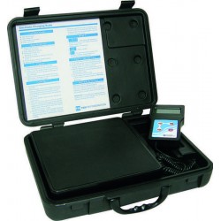 BE120/5 - Kg. 120 - 5 gr. resolution with case